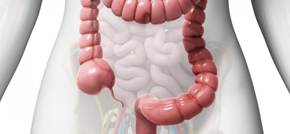 Geoff had relief from Crohn's disease, abominable pain and rectal  bleeding.