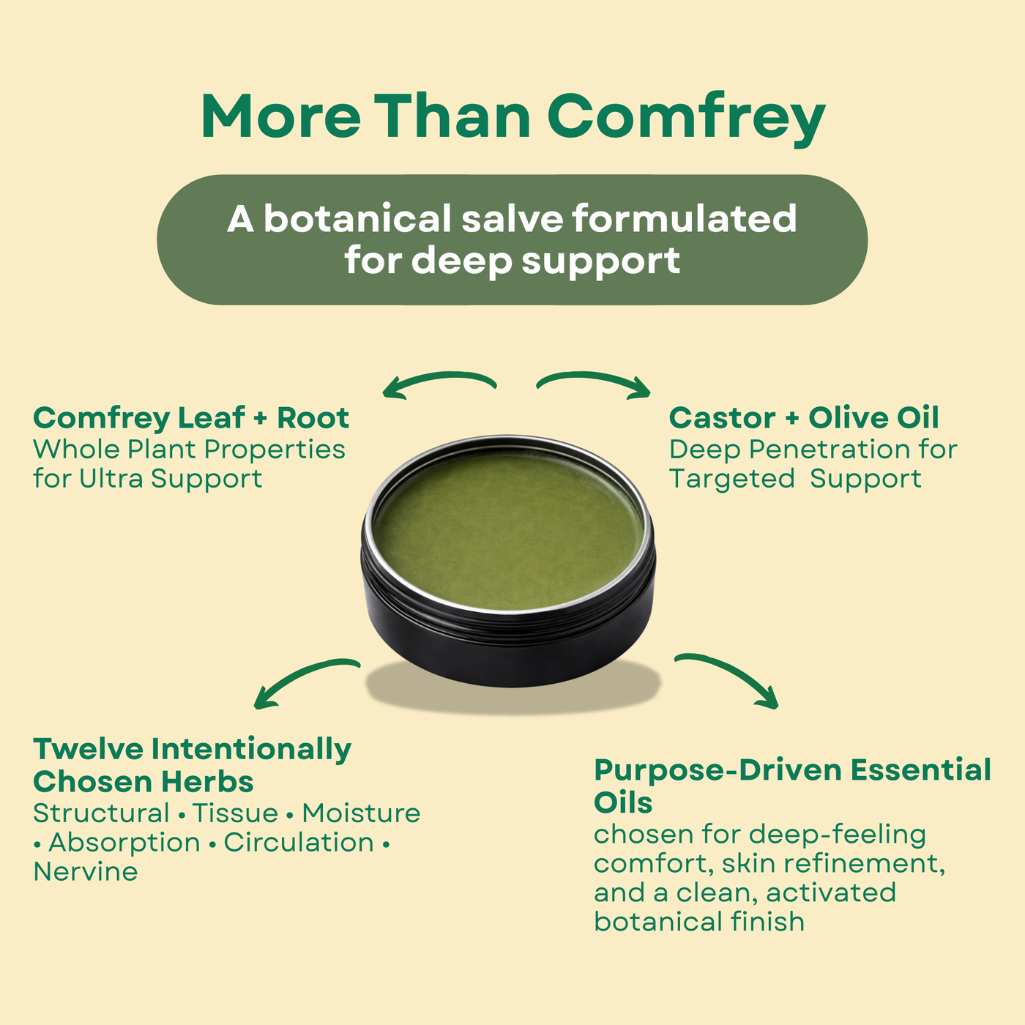 More Than Comfrey: A Multi-Herbal Salve