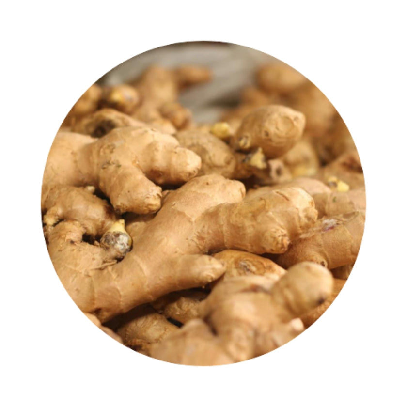 Ginger Root