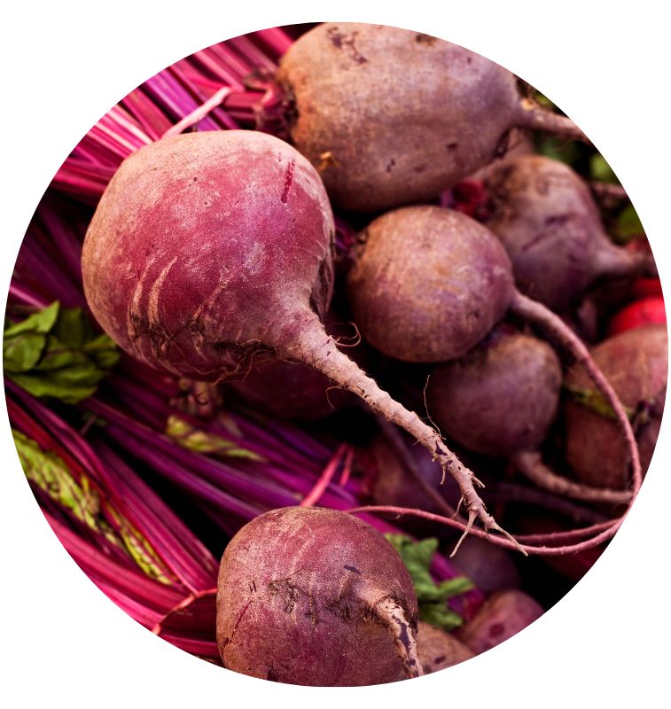 Beet Root 