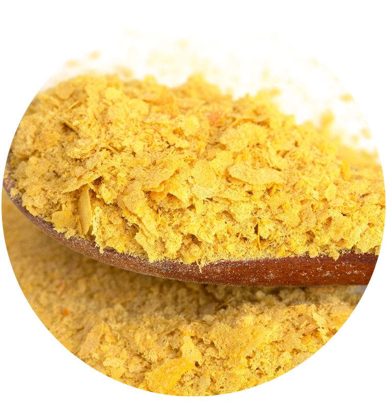 Non-Active Saccharomyces Cerevisiae Nutritional Yeast