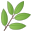 Modern Manna Health logo